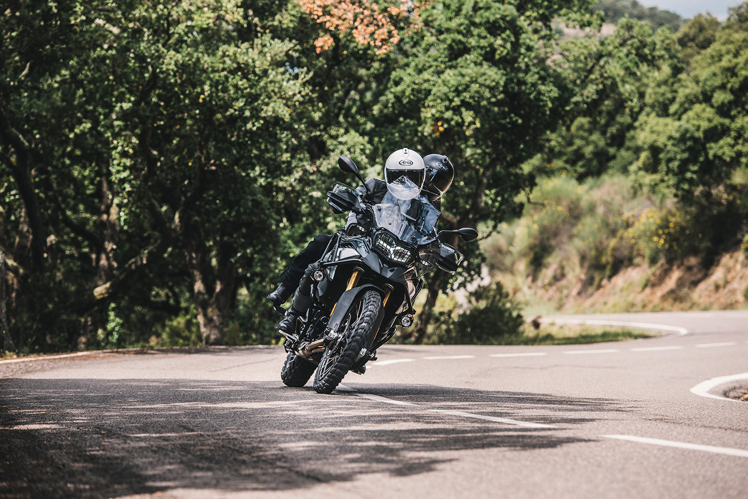 Wunderlich BMW F Serisi Extreme Radyatör Koruma